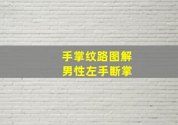 手掌纹路图解 男性左手断掌